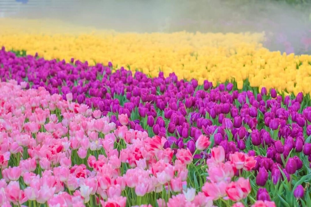 320883488_854872519081937_6427696630749425163_n