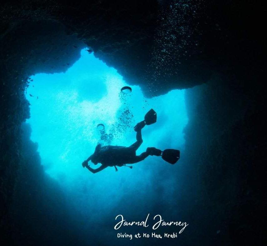 324265417_718870822894823_2684366780885472602_n