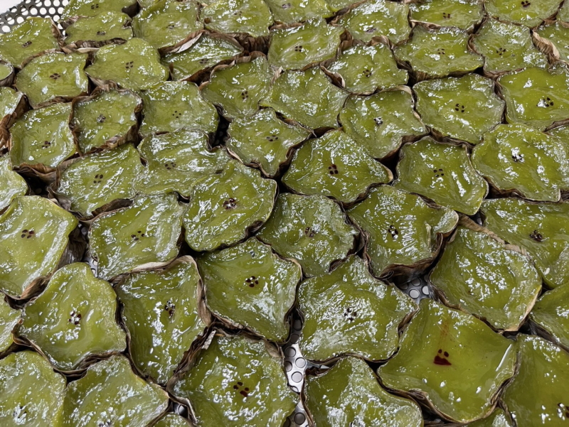 ตรุษจีนสหฟาร์ม (17)