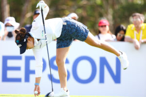 EpsonxLPGA (4)