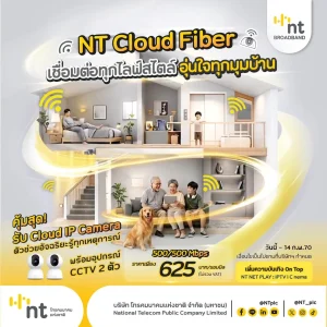 NT